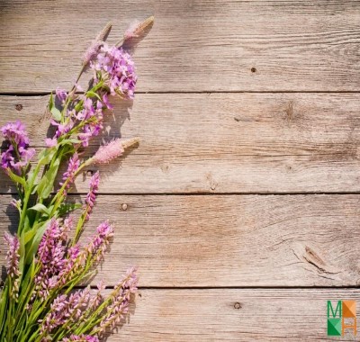  Tranh dán tường nhập khẩu Hàn Quốc hoa lavender FW - 157